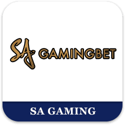 SA Gaming - Live - bearbrick8888