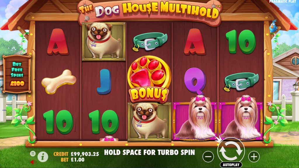 The Dog House MultiHold - Slot Theme - Bearbrick8888