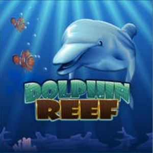 Dolphin Reef Slot - Logo - Bearbrick8888