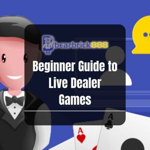 Bearbrick888 - Beginner Guide to Live Dealer Games - Logo - Bearbrick8888