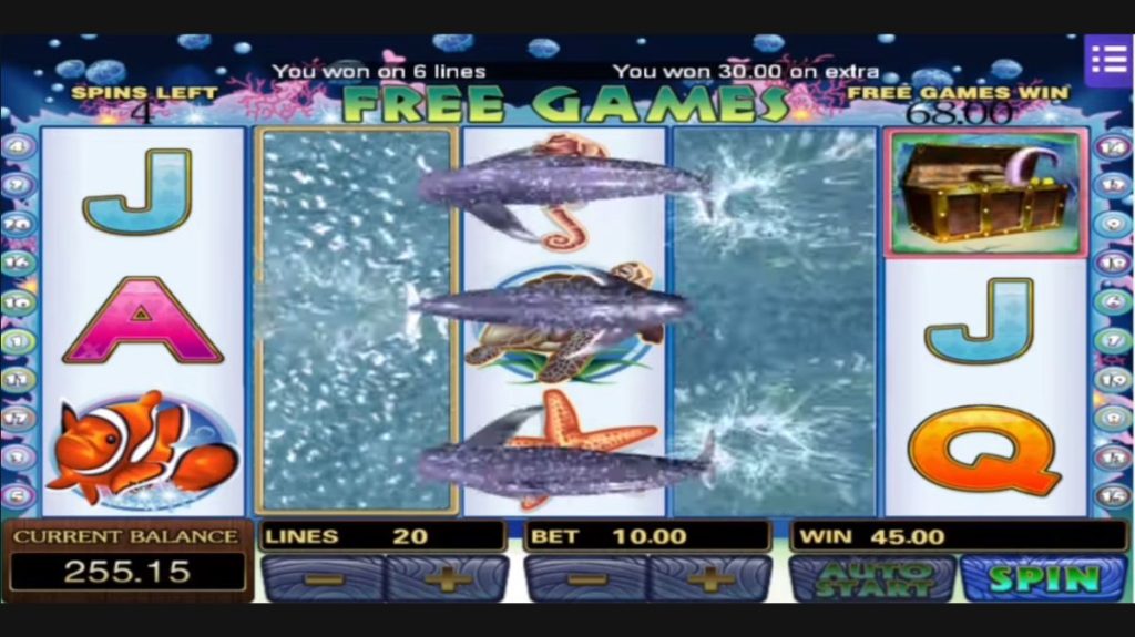 Dolphin Reef Slot - Respin Features - Bearbrick8888