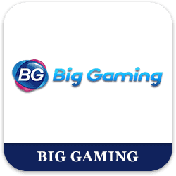 Big Gaming - Live - bearbrick8888