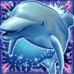 Dolphin Reef Slot - Wild - Bearbrick8888