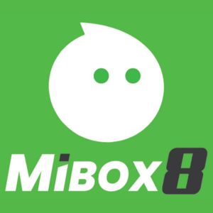 Mibox8 - Logo - Bearbrick8888