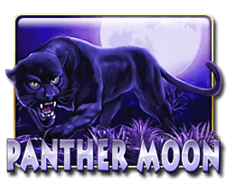 Panther Moon